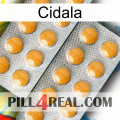 Cidala levitra2